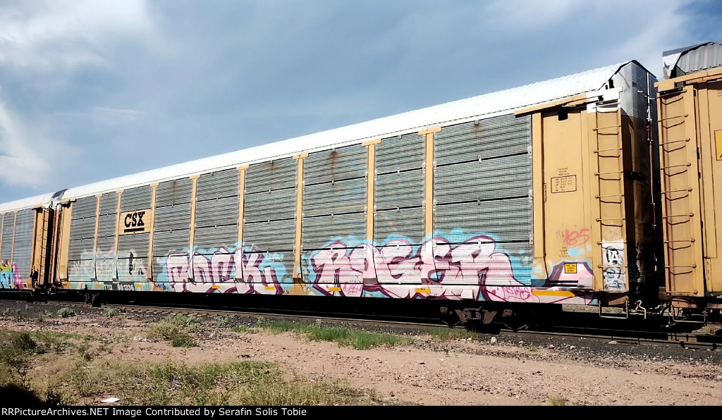 CSX B6641 TTGX 981336