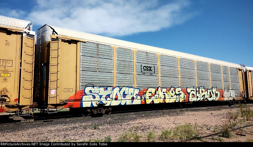 TTGX 990242 Rack CSX