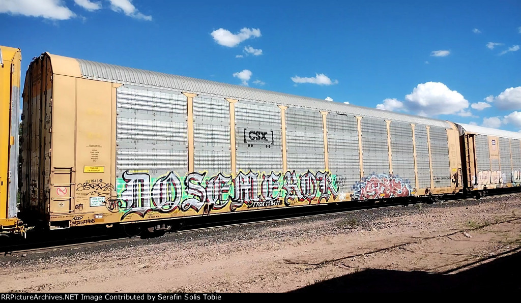 CSX B21543 TTGX 715411