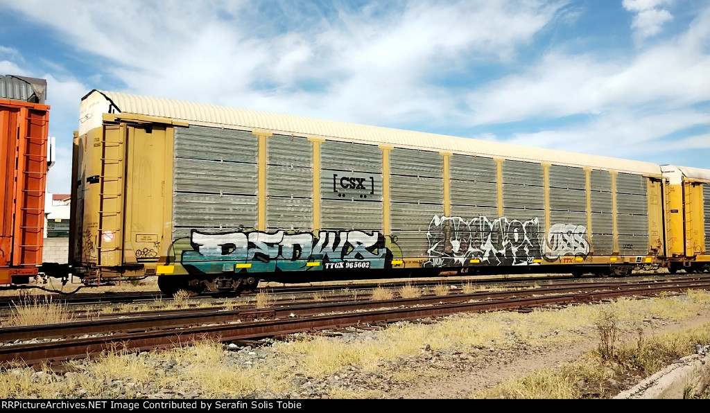 TTGX 965602 Rack CSX