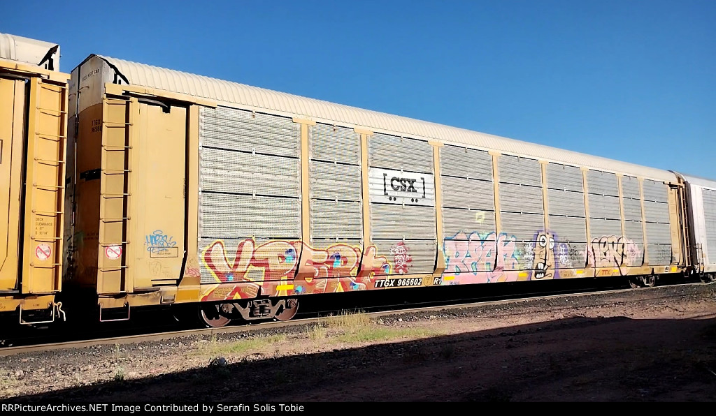 TTGX 965602 Rack CSX