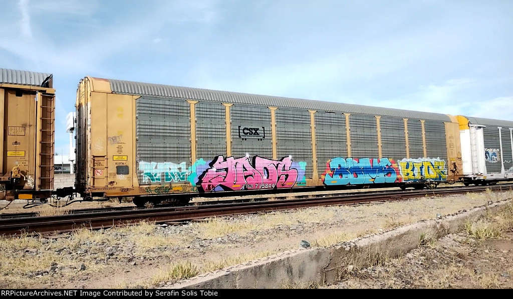 CSX B21776 TTGX 715844