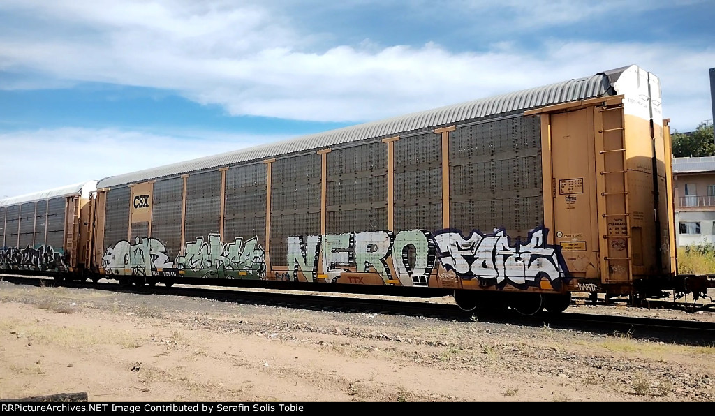 CSX B12403 TTGX 995411 Ex TFM