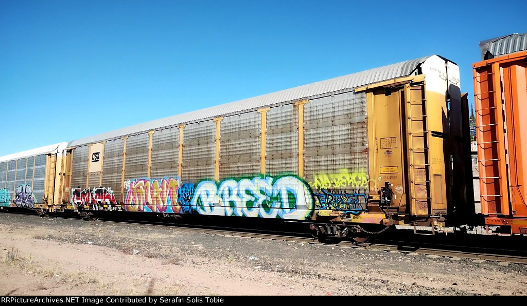 CSX B11950 TTGX 941401