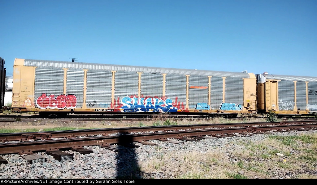 BNSF 25881 TTGX 967084