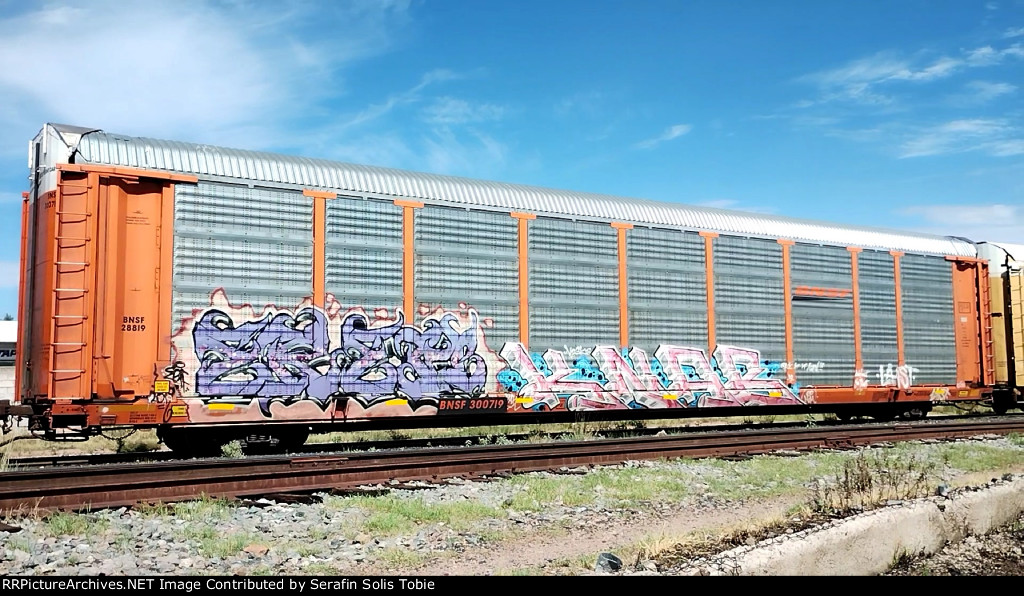 BNSF 28819 BNSF 300719