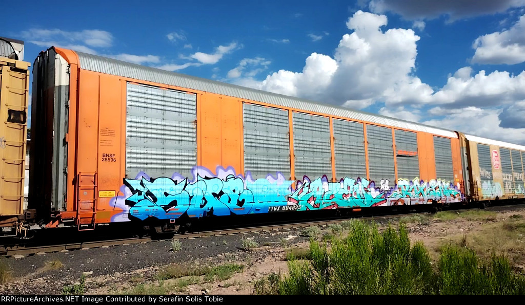 BNSF 28596 TTGX 694835