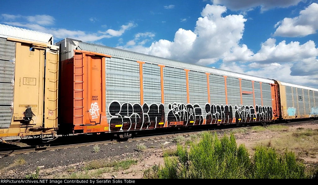 BNSF 28819 BNSF 300719