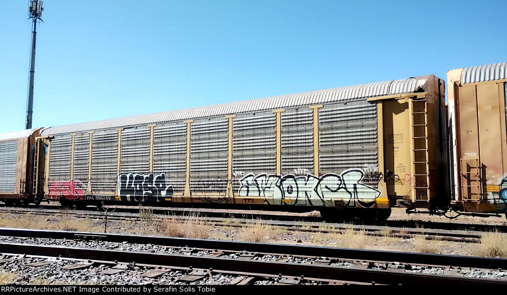 BNSF 23659 TTGX 986746