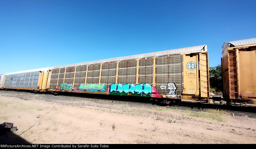 BNSF 20124 BNSF 300099