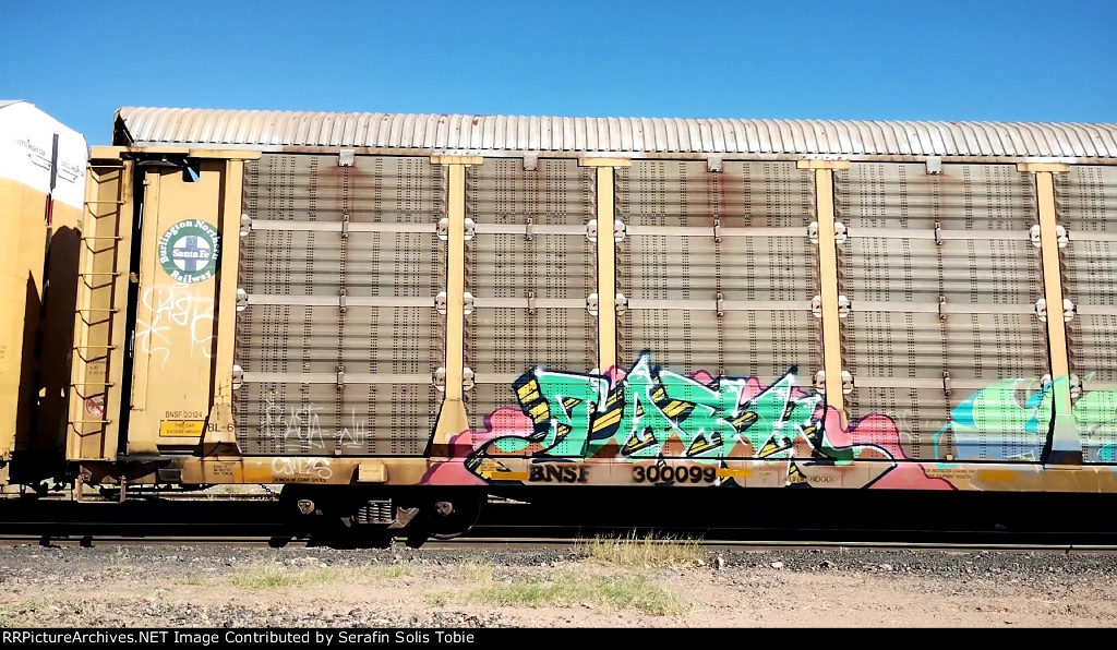 BNSF 20124 BNSF 300099