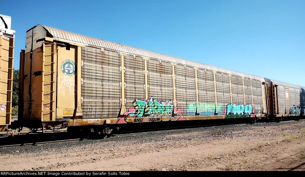 BNSF 20124 BNSF 300099