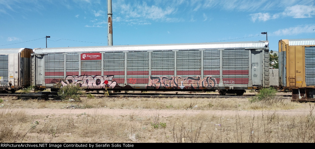 FXE 311848 TTGX 953913