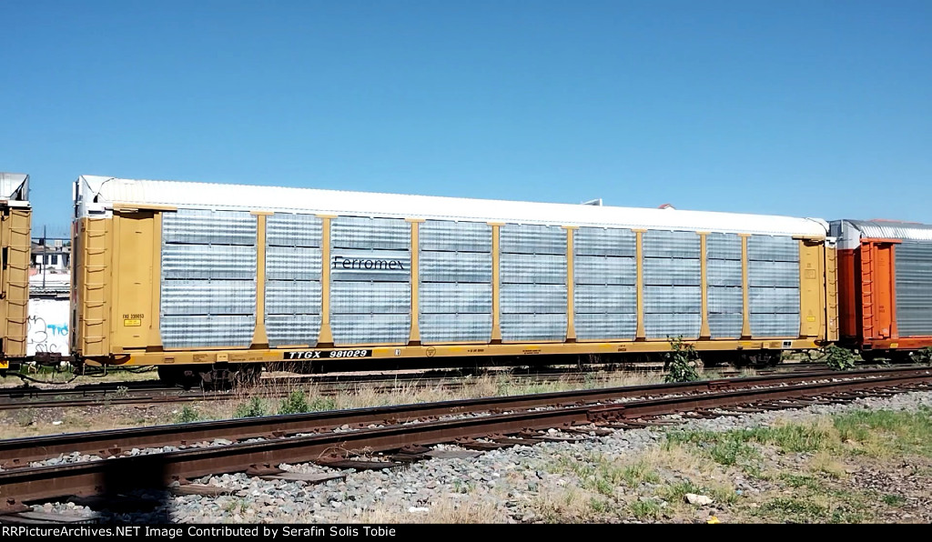 FXE 320053 TTGX 981029