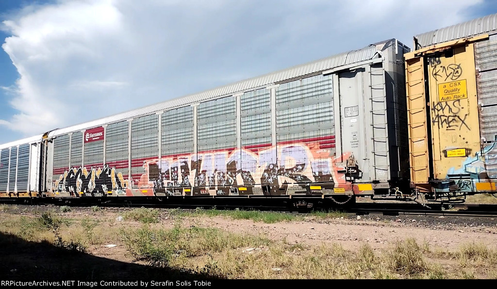 FXE 210599 TTGX 705694