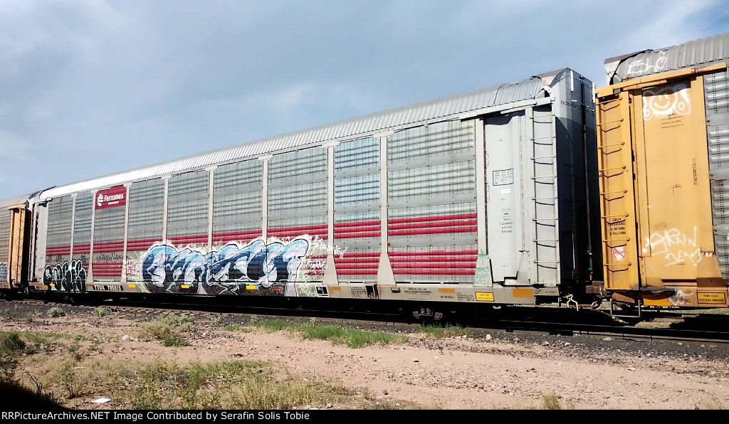 FXE 210623 TTGX 705615