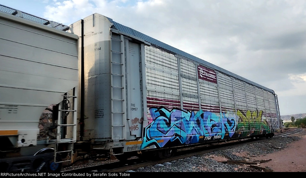 FXE 310957 TTGX 705164