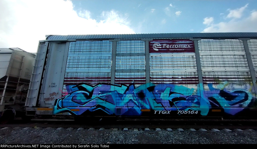 FXE 310957 TTGX 705164