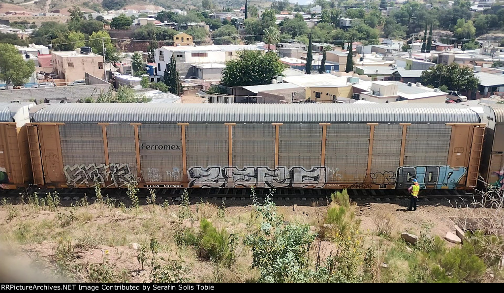 FXE 210123 TTGX 942566