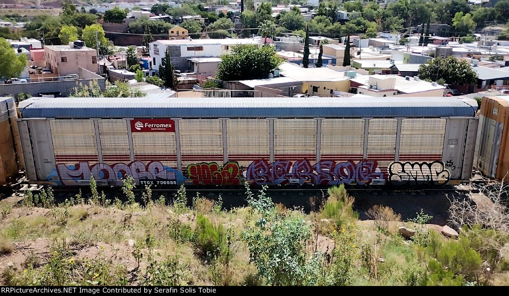 FXE 210970 TTGX 706666