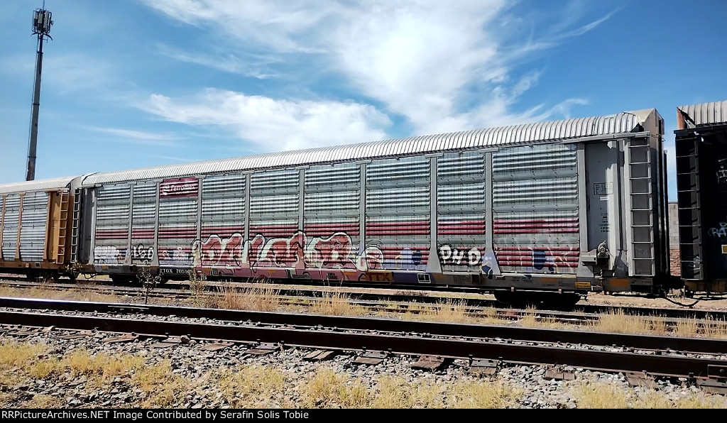 FXE 210820 TTGX 705519