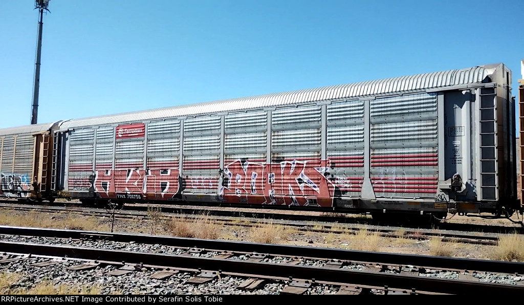 FXE 211060 TTGX 706756