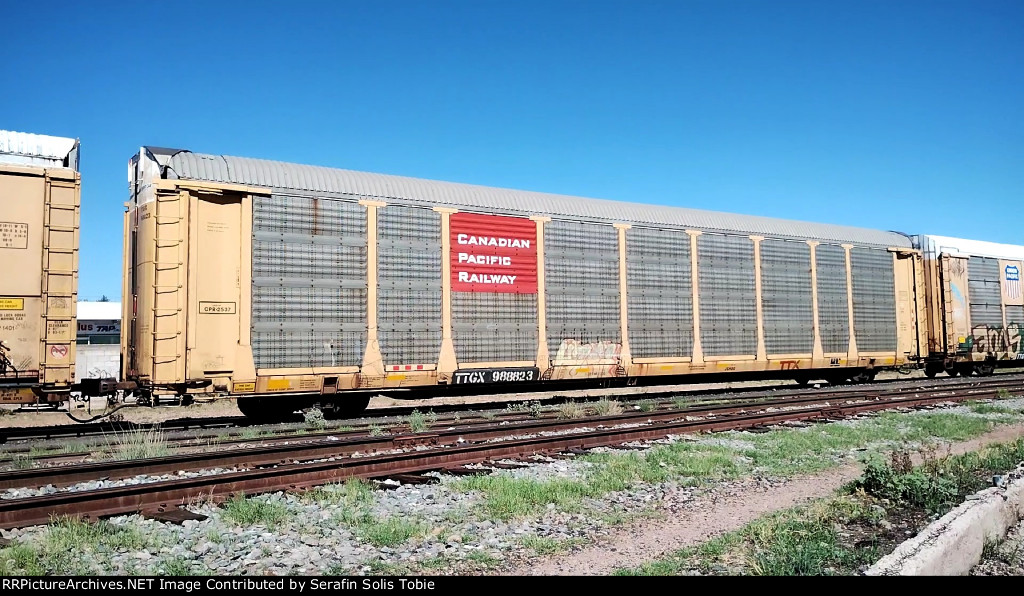 CPR 2537 TTGX 988823