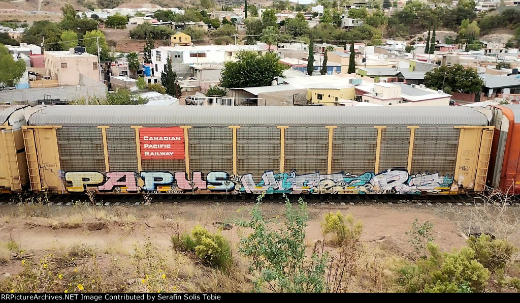 CPR 2535 TTGX 988457