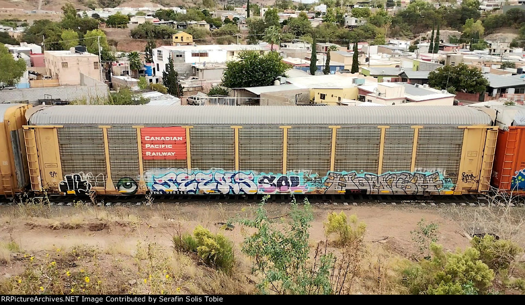 CPR 2456 TTGX 988745