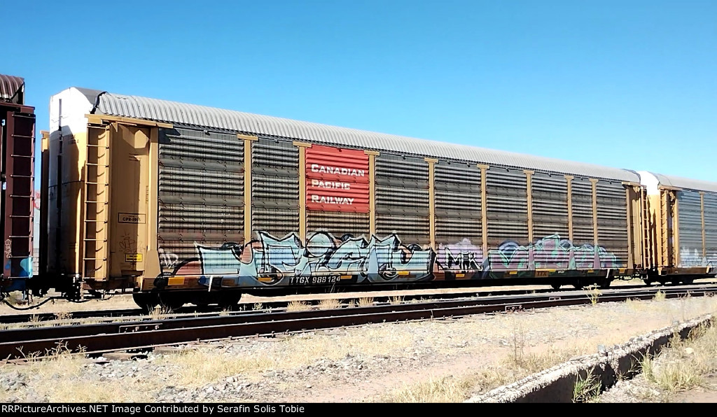 CPR 1915 TTGX 988124