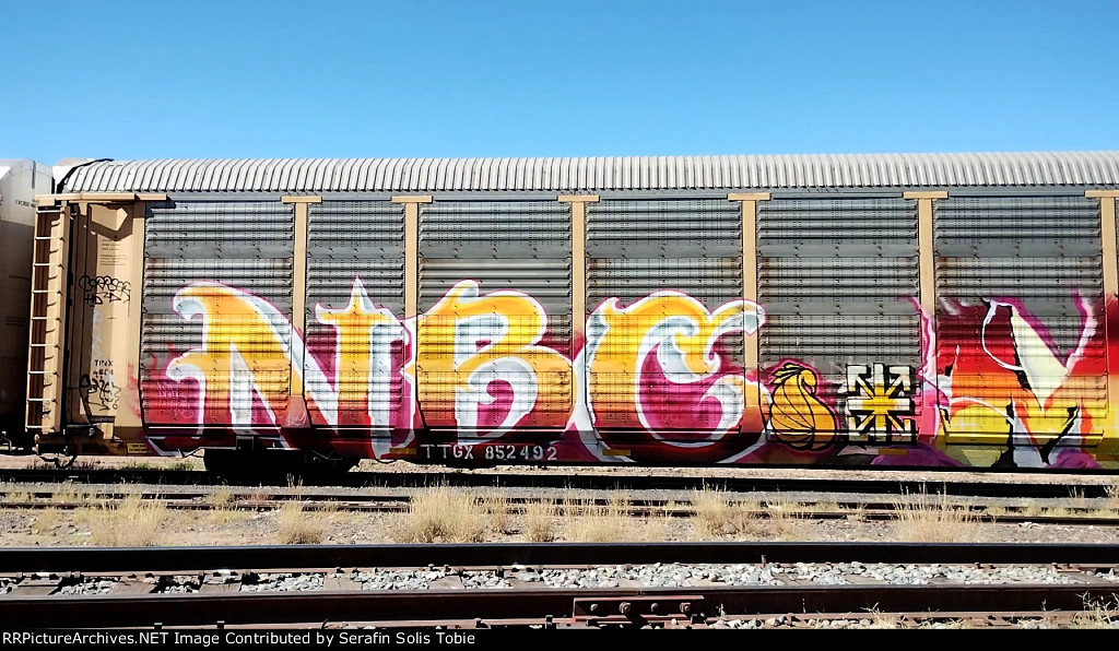 TINX 4884 TTGX 852492