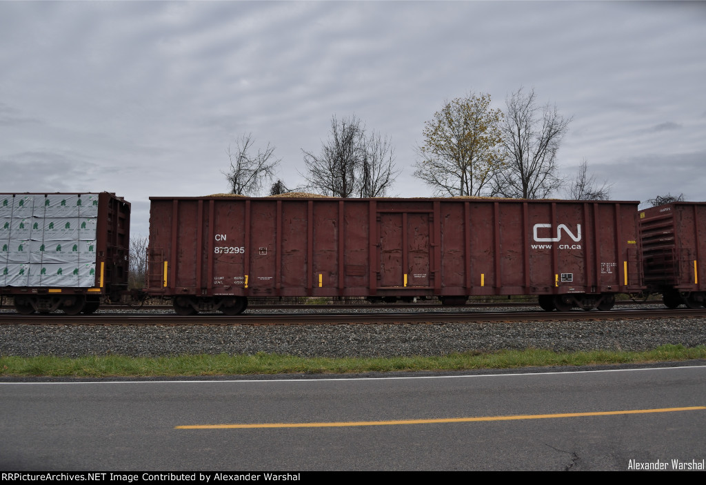 CN 879295
