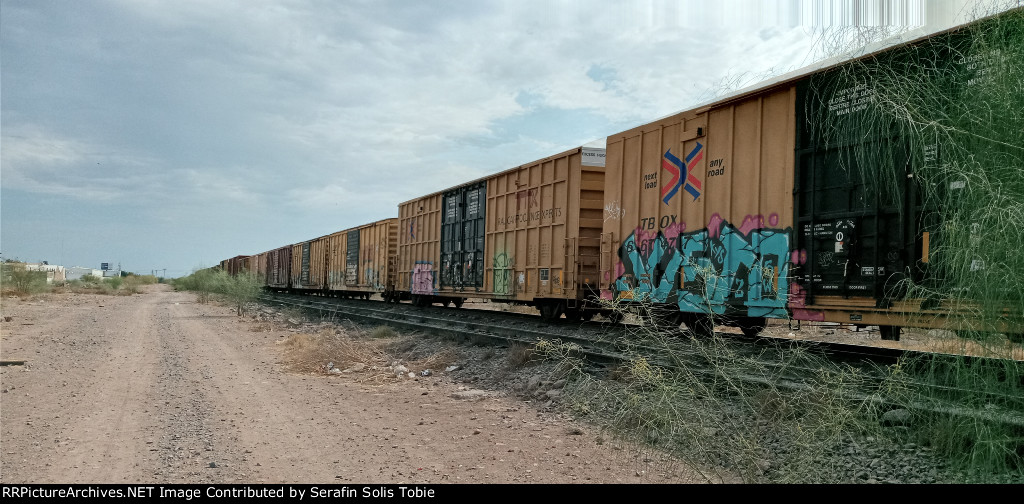 TBOX 667477