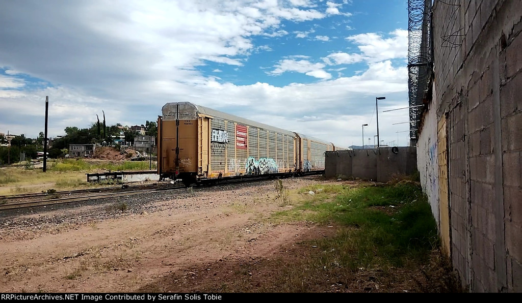 TTGX 988806