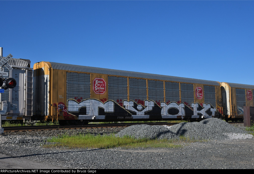 TTGX 695281