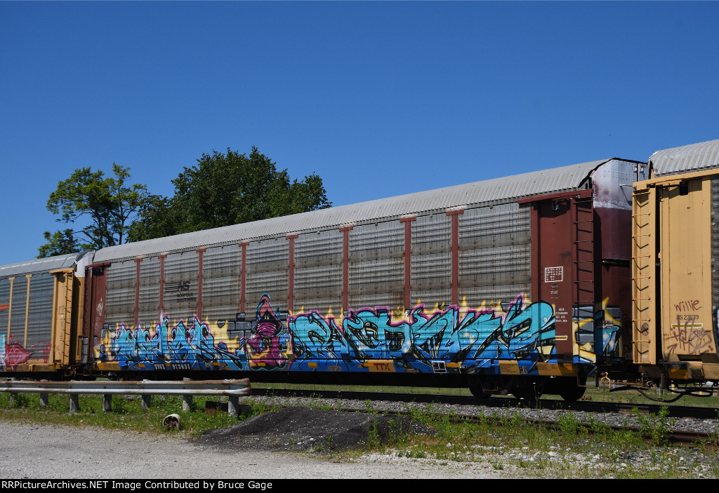 TTGX 973631