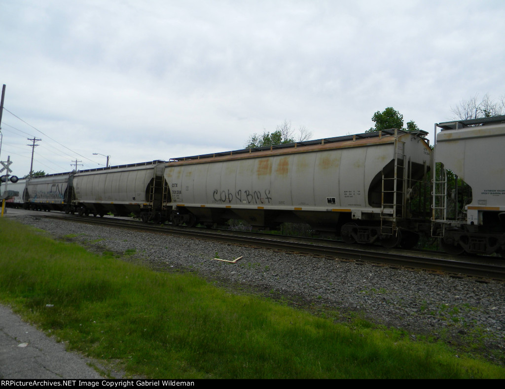 CITX 701384 is new to RRPA!