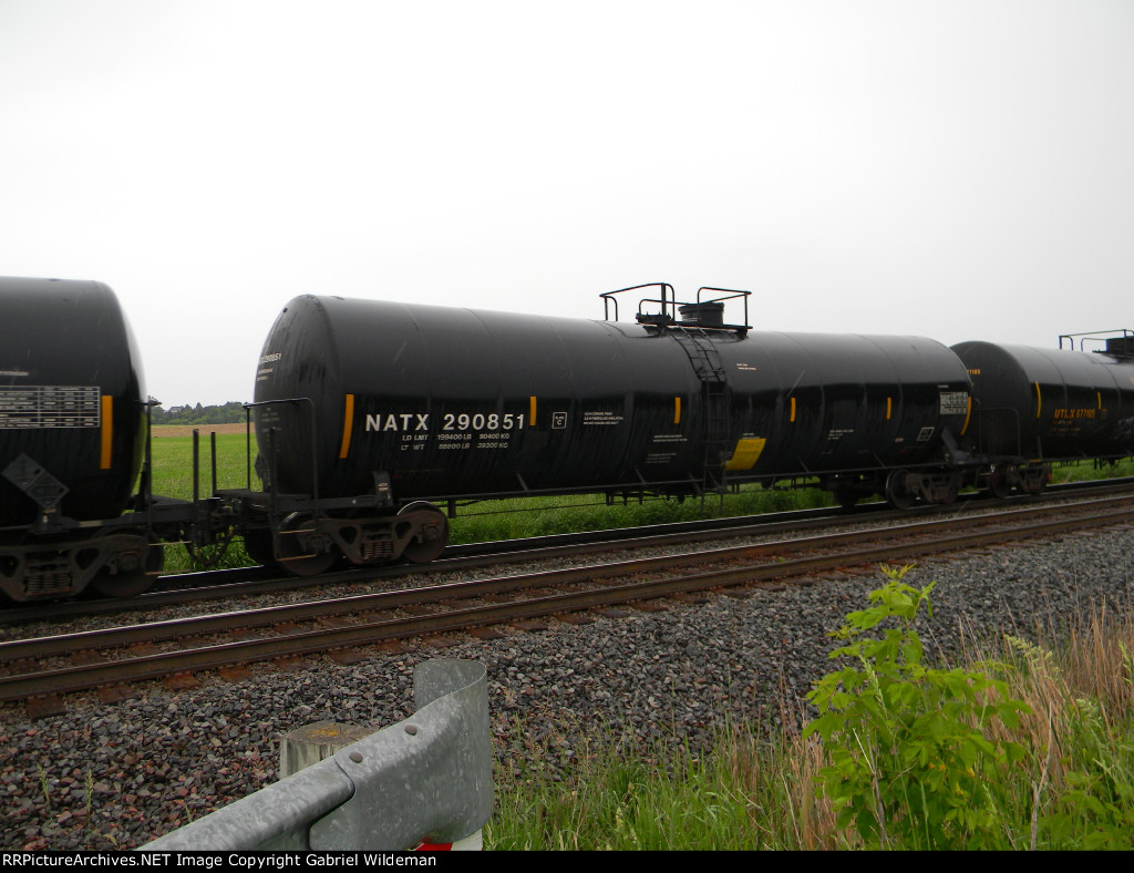 NATX 290851 is new to RRPA!