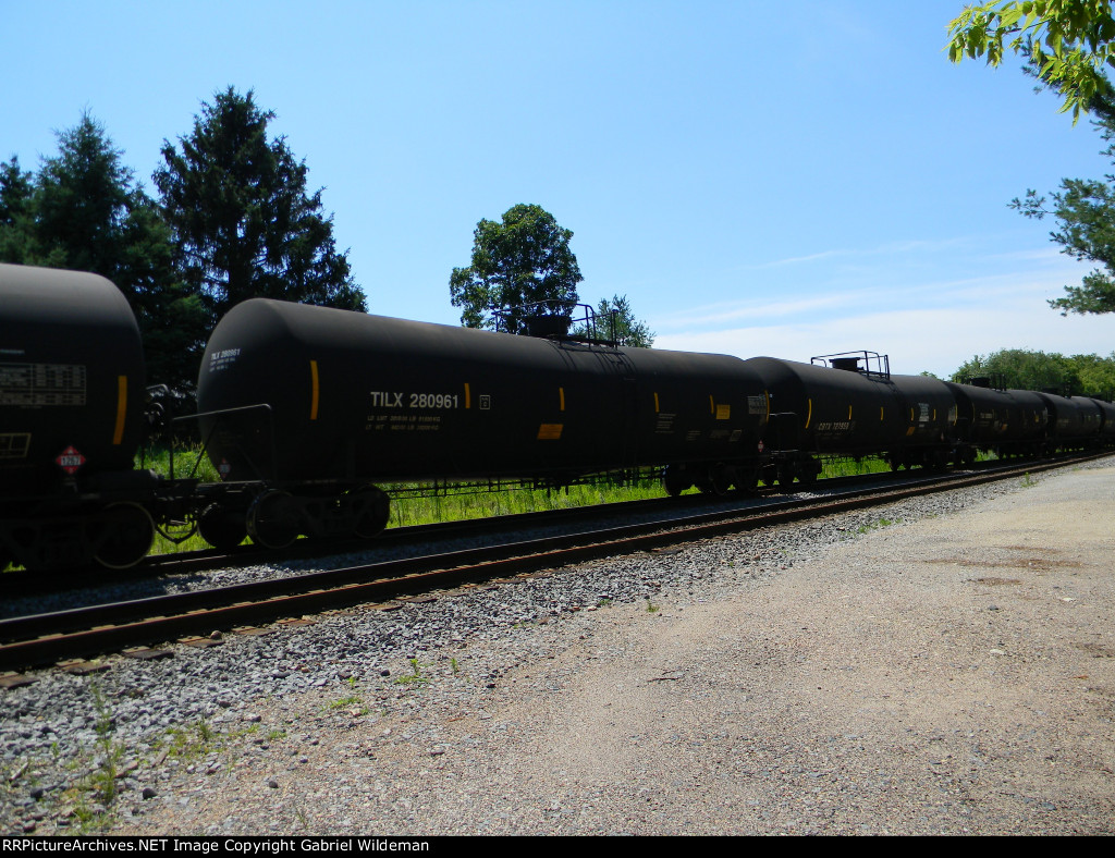 TILX 280961 is new to RRPA!