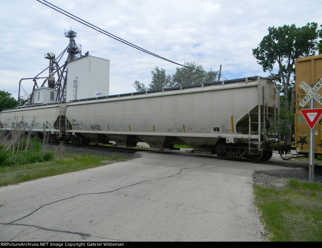 TILX 636234 is new to RRPA!