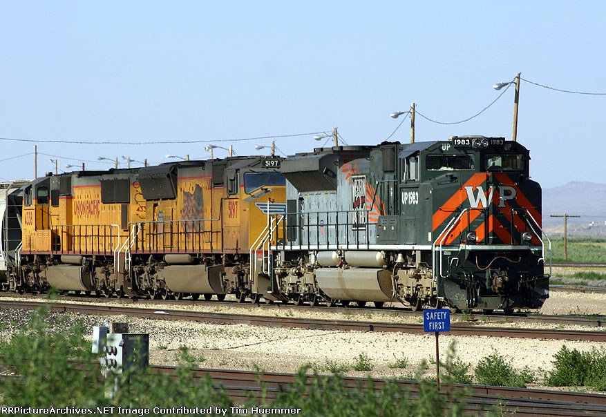 A treat in the Elko yards