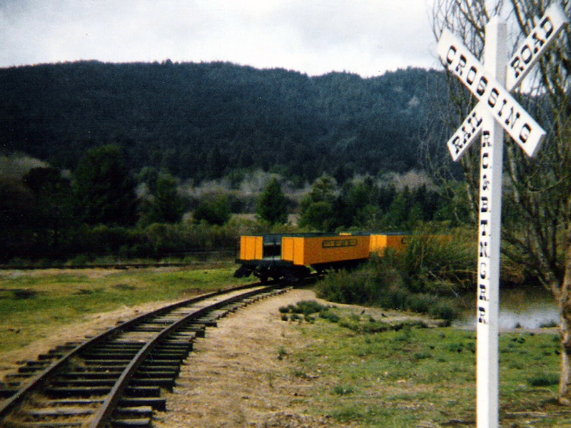 Big Trees & Roaring Camp RR