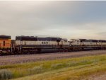BNSF 9795 and BNSF 9401