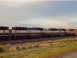 BNSF 9509 and BNSF 9779