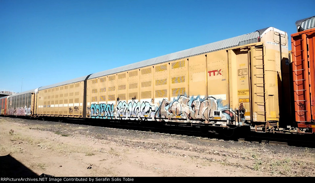 BTTX 880287 Con Grafiti 