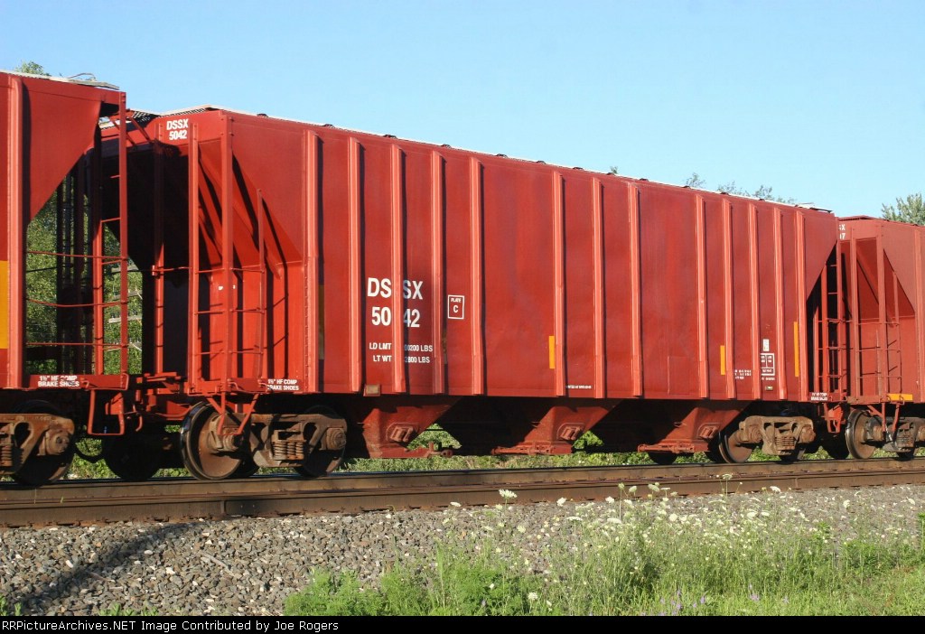 DSSX 5042