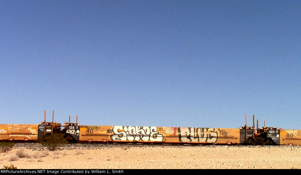 WB Empty Well Car Frt at Erie NV -113