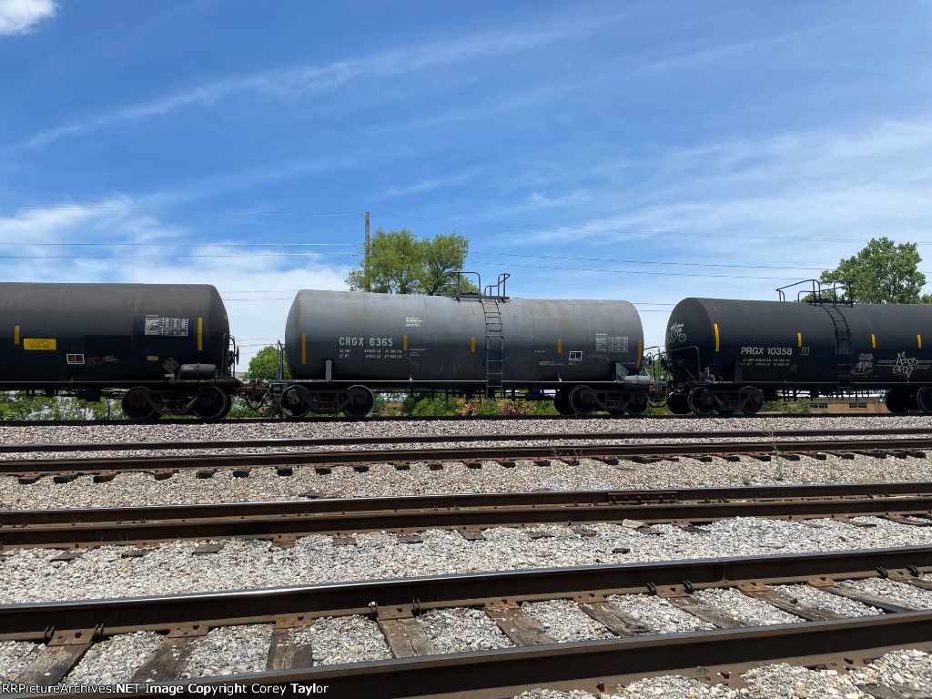 CRGX 6365