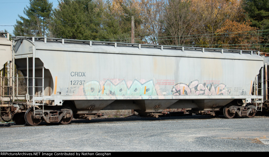 CRDX 12737
