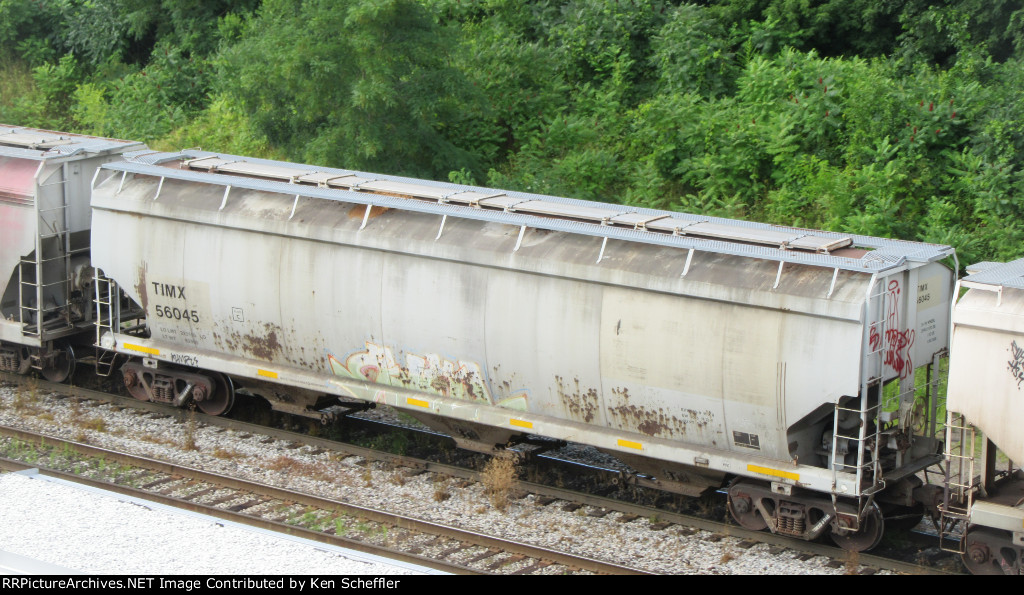 TIMX 56045